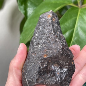 Campo Del Cielo Meteorite |