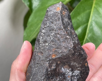 Meteorito Campo Del Cielo /