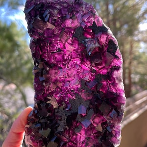 Okorusu Fluorite | Namibian Fluorite | Purple Fluorite | Collector Fluorite