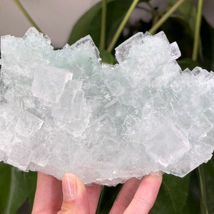 Stunning light green lustrous slab Halite from Rudna Mine.