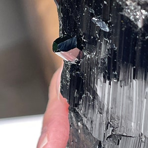 Pu&ograve; includere: Primo piano di un cristallo di turmalina nera con una terminazione appuntita e affilata. Il cristallo ha un colore nero scuro, quasi opaco, e una superficie striata.