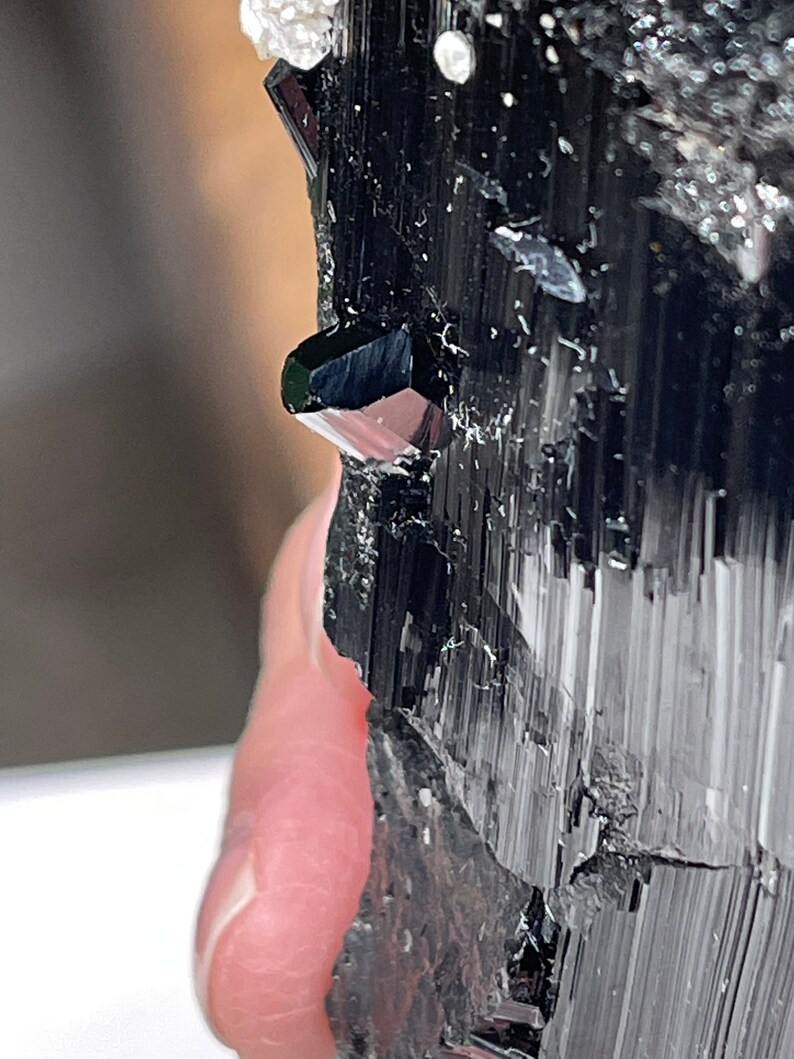 Pu&ograve; includere: Primo piano di un cristallo di turmalina nera con una terminazione appuntita e affilata. Il cristallo ha un colore nero scuro, quasi opaco, e una superficie striata.