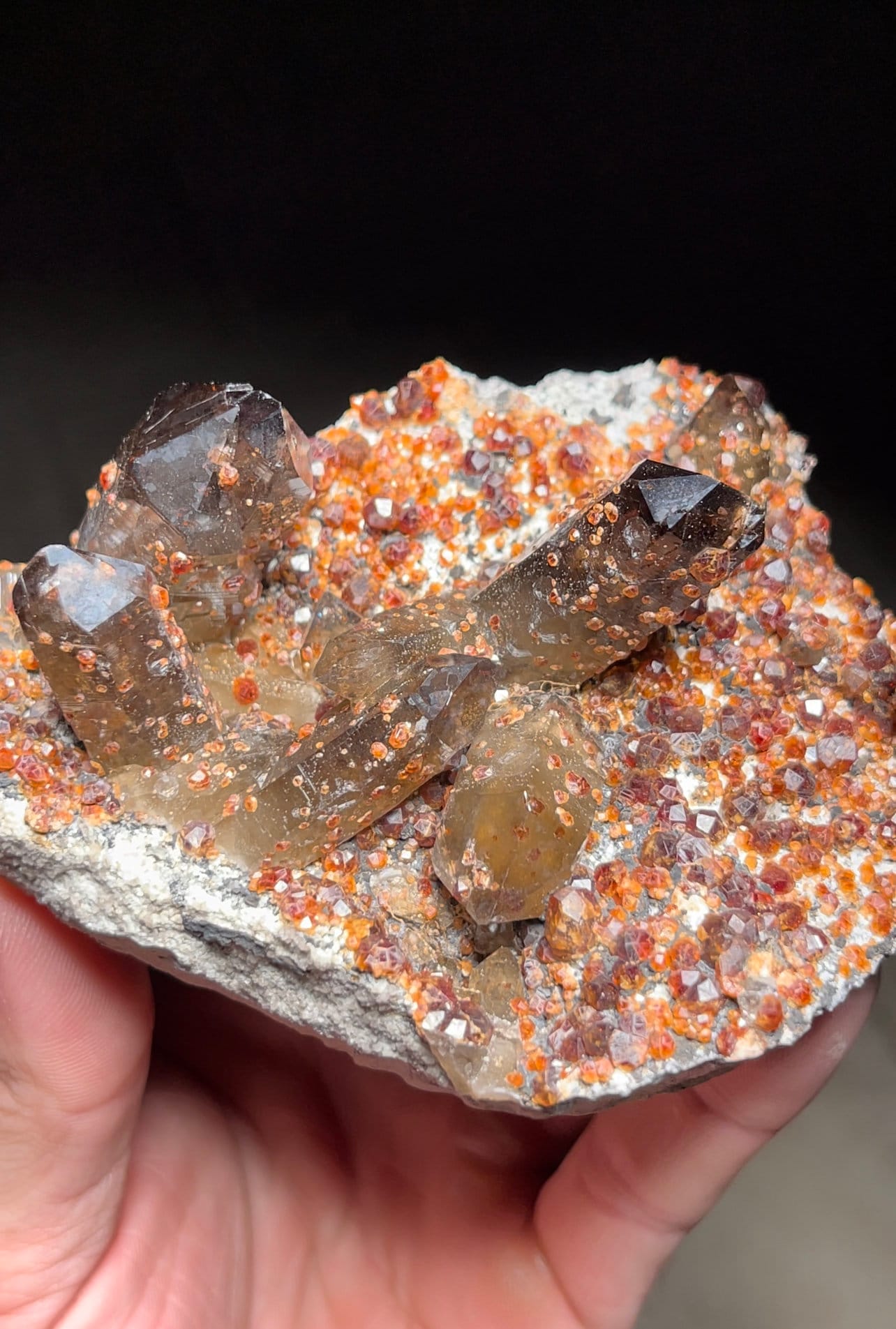 555 中国福建省産　ガーネット&スモーキークォーツ 中国福建省漳州市 Yunxiao 社産のスモーキークォーツクラスター付き高