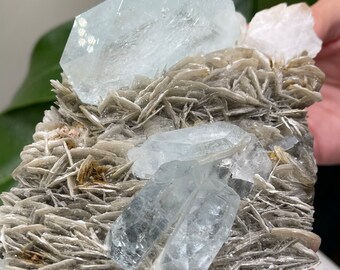 中国四川省綿陽市雪宝頂山産の白雲母の上に置かれた美しい平板状の
