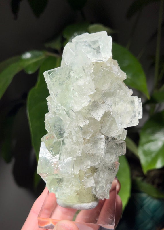 八面体蛍石を含むキャンドルクォーツの花 【公式通販】