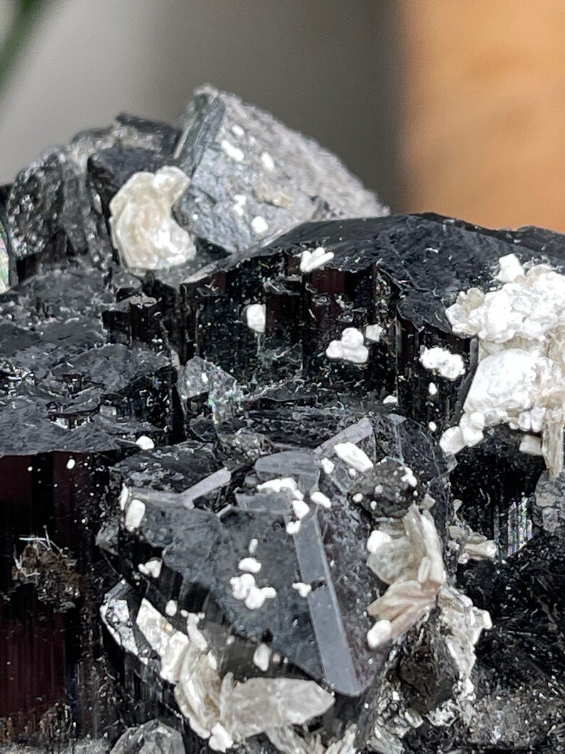 Pu&ograve; includere: Un gruppo di cristalli di turmalina nera con un bagliore argenteo. I cristalli sono raggruppati in una formazione naturale grezza.
