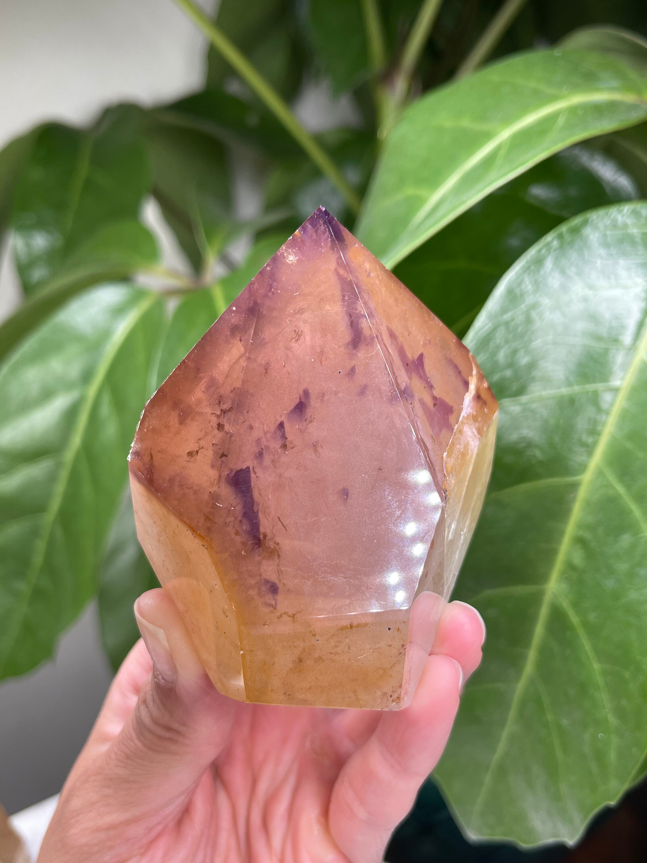 ブラジルのゴイアス州産の珍しいドリームコート レムリアン。 - Etsy 日本