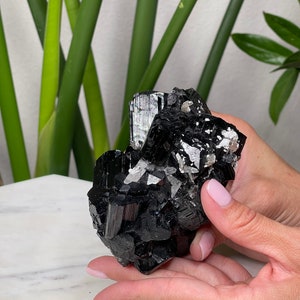 Pu&ograve; includere: Un gruppo di cristalli di turmalina nera con un bagliore argenteo. I cristalli sono disposti in una formazione naturale grezza.