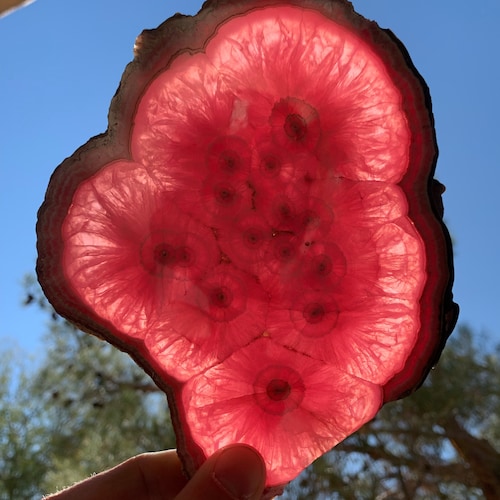 ブラジルのミナスジェライス州産の天然エッチングされたスペサルティン