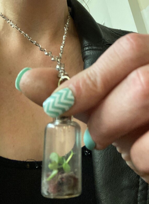 Terrarium necklace best sale kit