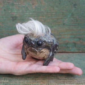 Handmade Ceramic Frog Figurine: Weird Sculpture Art, Ugly Creatures