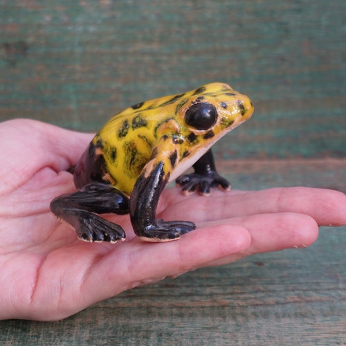 Blown Glass Frog Sculpture Poison Dart Frog Figurine Murano Etsy