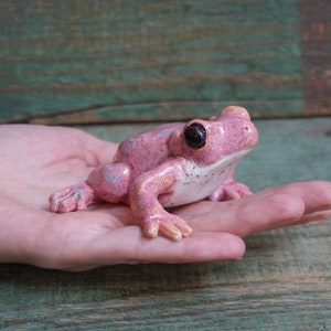 Ceramic Frog Figurine, Ceramic Sculpture Art, Cute Frog Statue, Dart Frog, Ceramic Animal