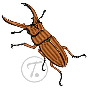 Stag Beetle Embroidery Design: Insect Bug Pattern (Digital Download)