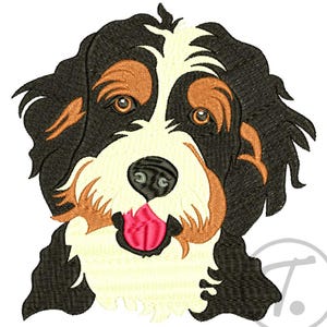 Piesek rasy bernedoodle, wzór do haftu maszynowego; (rozmiar 4) Wzór (do pobrania w wersji cyfrowej)