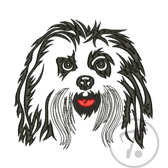 White house havanese sales