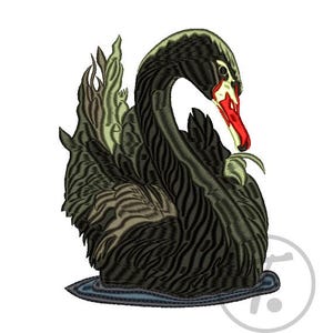 Black Swan Embroidery Design: Machine Embroidery Pattern (Digital Download)