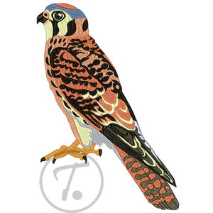 Falkbroderidesign: Fågeltornfalk, (3 storlekar) Mönster (digital nedladdning)