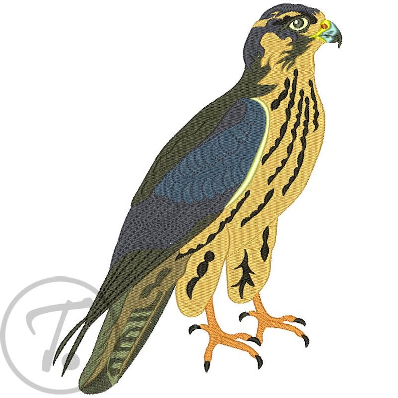 Falcon Embroidery Design: Bird Prey Peregrine Falcon, Pattern (digital ...