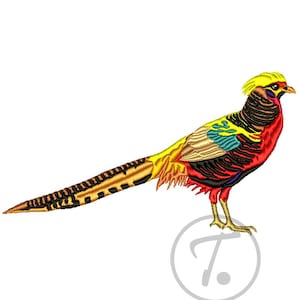 Golden Pheasant Embroidery Design: Pheasant Bird (3 Size) (Digital Download)