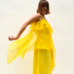 Women&#39;s Vintage 1970s Chiffon Maxi Dress