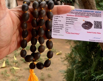 Lab Certified KAMAL GATTA Lotus Seed Original Mala ROSARY 108+1 Bead 68 inch Prayer Beads Yoga Prayer Healing Meditation Free Ship