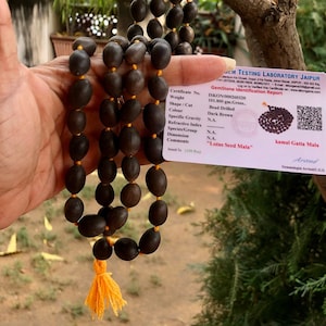 Lab Certified KAMAL GATTA Lotus Seed Original Mala ROSARY 108+1 Bead 68 inch Prayer Beads Yoga Prayer Healing Meditation Free Ship