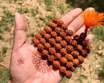 May include: A brown mala bead necklace with a tassel made of orange fibers. The necklace is made of small, round beads and is held in a person's hand.
