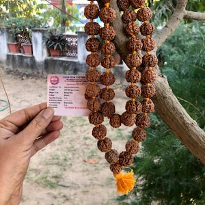 LAB CERTIFIED 54+1 Bead Indian Origin Rudraksha Mala 5 mukhi 5 faces, Big Beads 18-20 mm 38 inch, Lord Shivas Rosary Jaap Mala Prayer