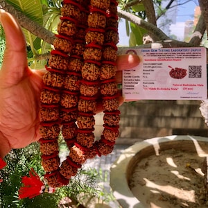 LAB CERTIFIED 54+1 Bead Indian Origin Rudraksha Mala 5 mukhi 5 faces, Big Beads 18-20 mm 36 inch, Lord Shivas Rosary Jaap Mala Prayer, Rings