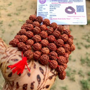 LAB CERTIFIED 108+1 Bead Indischer Herkunft Rudraksha Mala 5 mukhi, 5 Gesichter, Big Beads 11 mm 50-54 inch, Lord Shivas Rosenkranz Jaap Mala Yoga Gebet