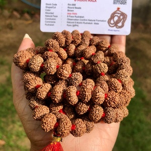 LAB CERTIFIED 108+1 Bead Indian Origin Rudraksha Mala 8 mukhi 8 faces (9-10 mm bead) Lord Shivas Rosary Jaap Mala Yoga Prayer Healing, Rare