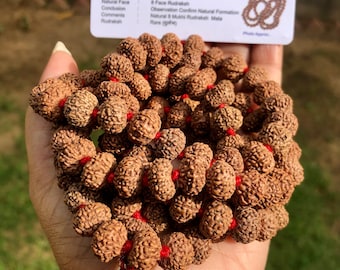 8 Mukhi Rudraksha Mala, Indian Beads, Yoga Prayer Rosary