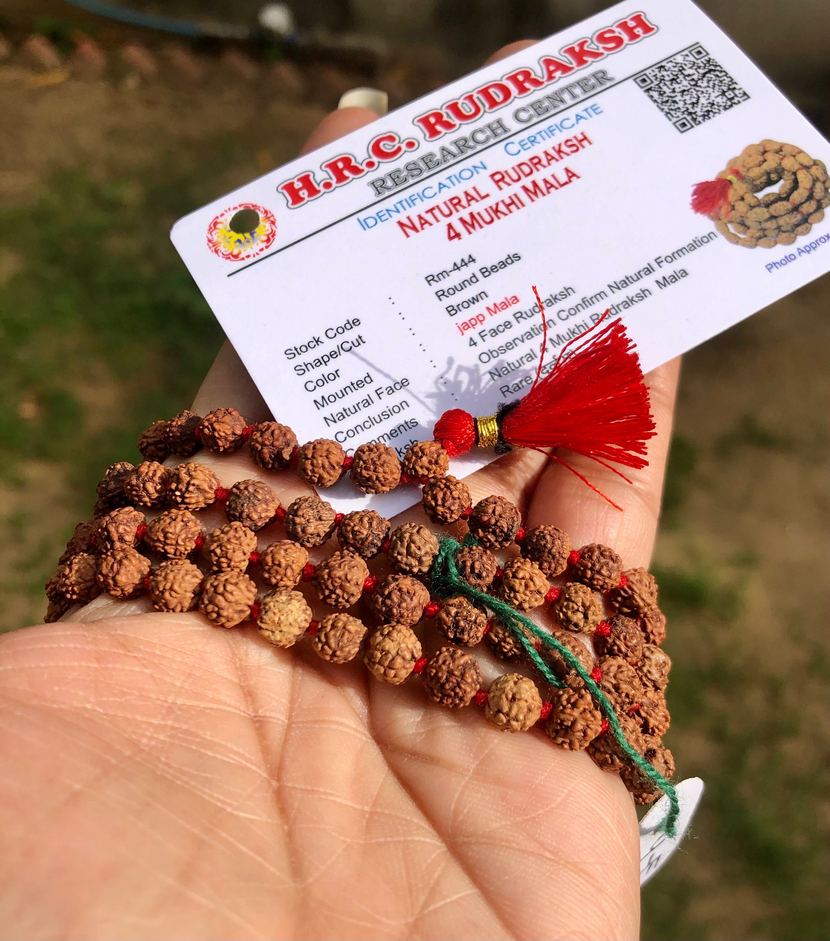 4 mukhi rudraksha mala ROSARY | sandalwood bead spacers | Japa mala.  Rudraksha beads of Nepal is used as mala, bracelet & worn for health and  disease cure benefits