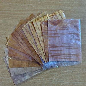 12 Bhoj Pattar Bhoj Pattar Seiten für das Yantra Mantra Schreiben, aus Baumrinde