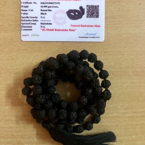 May include: A black Rudraksha Mala with a tassel. The mala is made of 109 beads and is 42 grams. The certificate states that it is a "(5) Mukhi Rudraksha Mala".