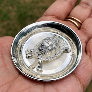 Könnte beinhalten: Eine detaillierte silberne Schildkrötenfigur liegt in einer kleinen, runden Silberschale. Die Schildkröte hat aufwendige Schalendetails und ist in der Schale zentriert. Die Schale wird in der Hand einer Person gehalten, mit einem verschwommenen grünen Hintergrund.