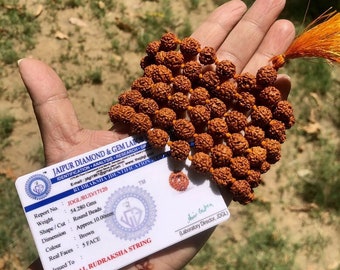 LABORATORIO CERTIFICADO 108+1 Cuentas Origen Indio Rudraksha Mala 5 mukhi 5 caras, Cuentas Grandes 10 mm 45-48 pulgadas, Lord Shivas Rosario Jaap Mala Yoga Oración