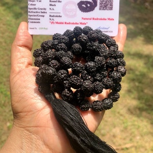 May include: A black rudraksha mala with 109 beads and a black tassel. The mala is 42 grams and is made of 5 mukhi rudraksha beads. The mala is accompanied by a certificate of authenticity from ISKON Gem Testing Laboratory Jaipur.