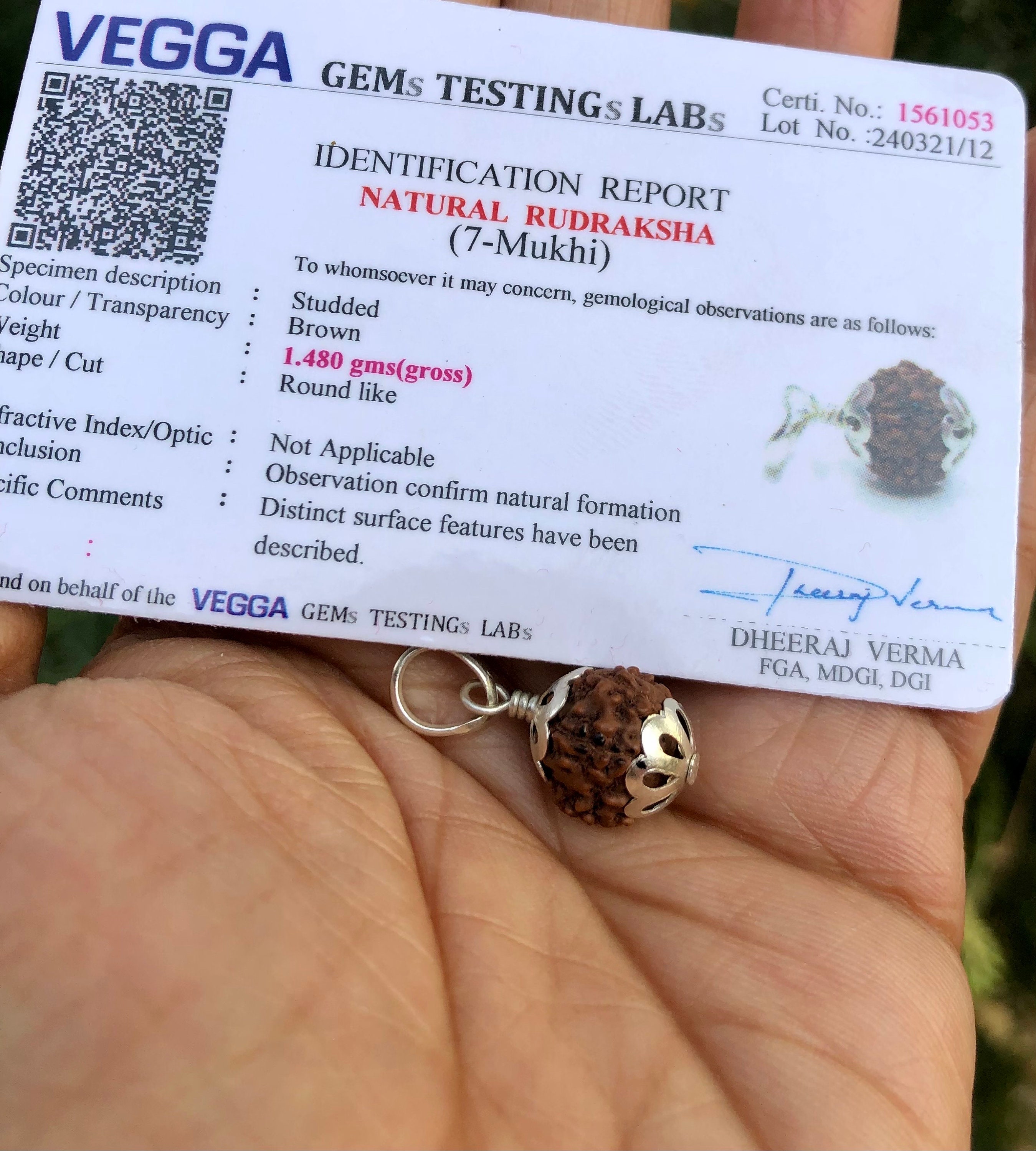 Lab Certified 925 Silver + 7 Mukhi RUDRAKSHA Panchmukhi Rudraksh 7 Face Rudraksham (10 mm) Pendant Yoga Prayer Healing, Health, Kids, Adults