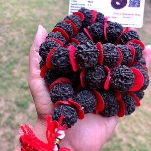 LAB ZERTIFIZIERTE 54 + 1 Bead Indischer Ursprung Rudraksha (Schwarz gefärbt) Mala 5 mukhi, 5 Gesichter, Große Perlen 18-20 mm, Lord Shivas Rosenkranz Jaap Mala Gebet