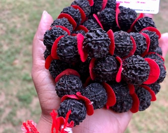 May include: A black rudraksha mala with red spacers. The mala is made of 108 beads and has a tassel. The mala is on a hand and a certificate of authenticity is in the background. The certificate states "Natural Rudraksha Mala - 20 mm".