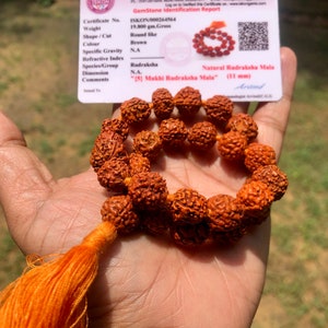 LAB CERTIFIED 27+1 Guru Bead Indian Origin Natural Rudraksha Mala 5 mukhi 5 faces 11 mm, Lord Shivas Rosary Jaap Mala, Pocket Mala, Bracelet