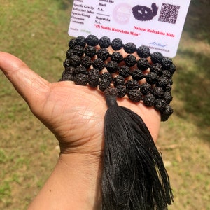 May include: A black Rudraksha Mala with a tassel, consisting of 5 Mukhi Rudraksha beads. The mala is 42 grams and comes with a certificate of authenticity from ISKON Gem Testing Laboratory Jaipur.