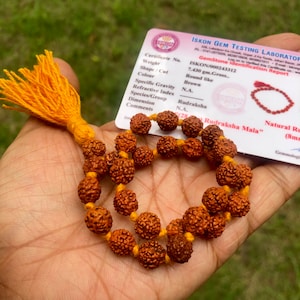 LAB CERTIFIED 27 + 1 Guru Bead Indischer Herkunft Rudraksha Mala 5 mukhi 5 Gesichter Lord Shivas Rosenkranz Jaap Mala, Pocket Mala, Armband
