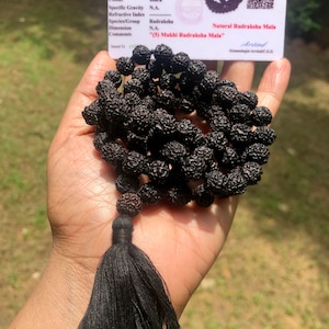 May include: A black Rudraksha Mala with a tassel. The mala is made of 5 Mukhi Rudraksha beads. The certificate states the weight is 42.000 grams.