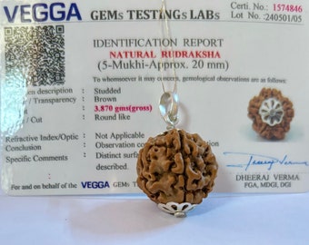 May include: A brown 5-Mukhi Rudraksha bead pendant with a silver setting. The bead is approximately 20 mm in diameter and weighs 3.870 grams. The pendant is accompanied by a certificate of authenticity from VEGGA GEMS TESTINGS LABS.