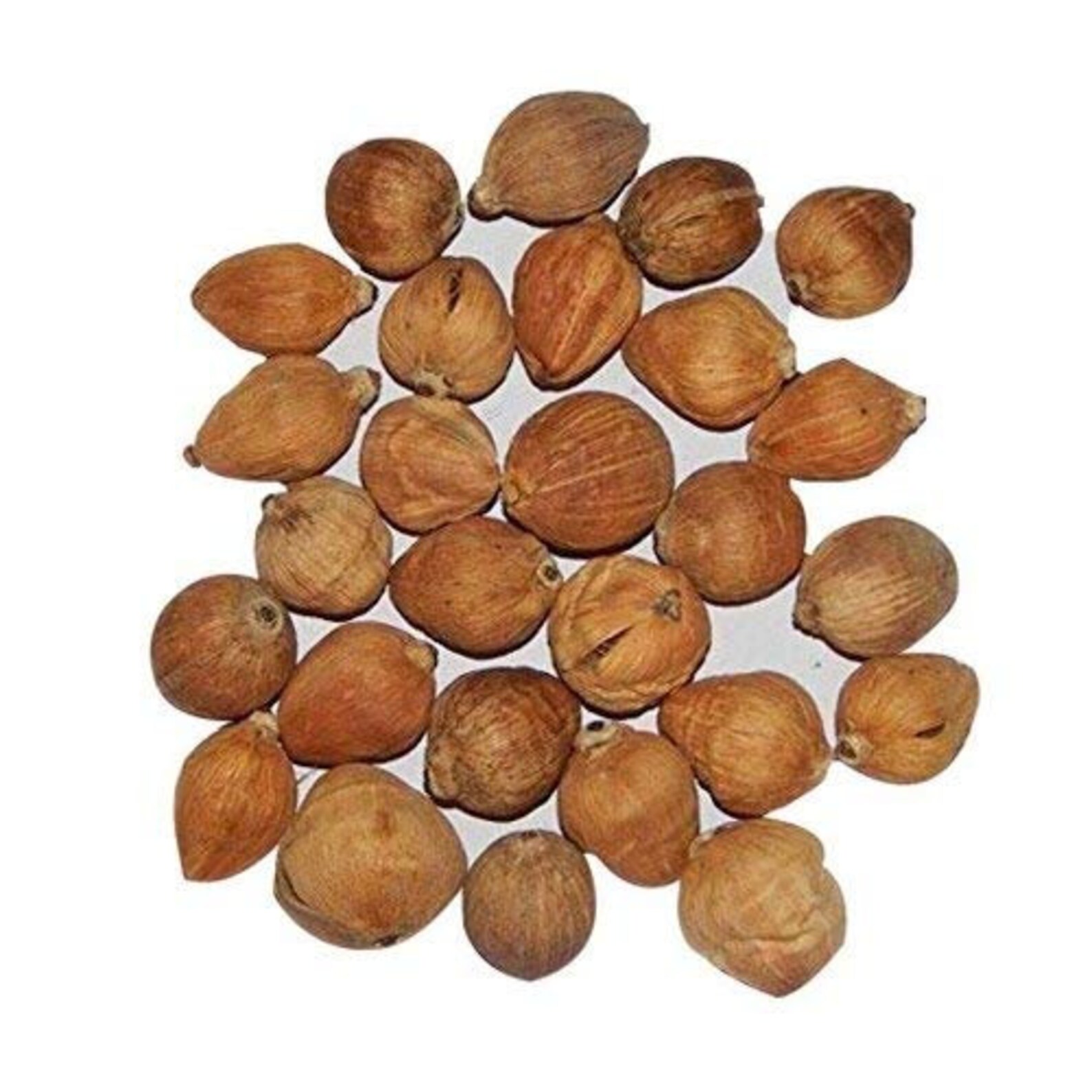 11 Pc 51 Pc LAGHU NARIYAL Sriphal Small Coconut for Wealth Etsy