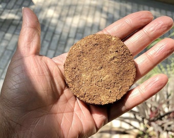 20 piezas 6 cm indio Desi COW DUNG CAKE Gobar Upale Kande para Hawan Havan Yagya Agnihotra puja religiosa hecha a mano tradicionalmente