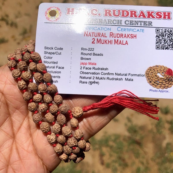 LAB GECERTIFICEERD 108+1 Kraal Indiase oorsprong Rudraksha Mala 2 mukhi 2 gezichten (5mm lange kraal) Lord Shivas Rozenkrans Jaap Mala Yoga Gebed Genezing, Zeldzaam